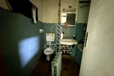 Apartament cu 2 camere, decomandat, zona Dambovita, Timisoara - 8