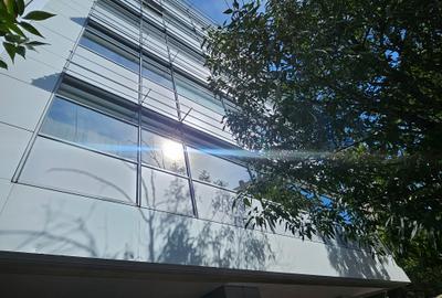 Spatiu Birou Cismigiu- Domus I - 1