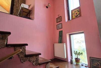 Casa spatioasa Traian - 17