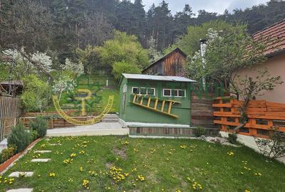 Casă de vanzare cochetă, complet renovată, în Rășinari, Sibiu - 39