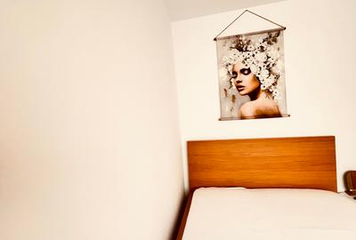 Apartament 2 camere Auchan Vitan, stradal, CENTRALA, mobilat si utilat modern - 12