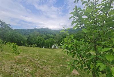 Refugiu idilic cu oglinda de apa, panorama montana, Glajerie/Rasnov, ideal mini - 26