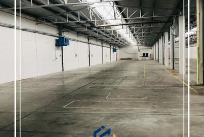Hala de Inchiriat, comercial , industrial, logistica, Uta, Arad - 2