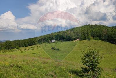 Teren agricol extravilan de 128948 mp, în Munteni