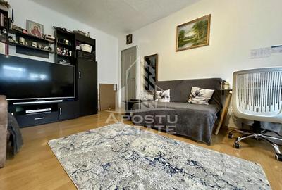Apartament cu 2 camere nedecomandat, mobilat în Șagului