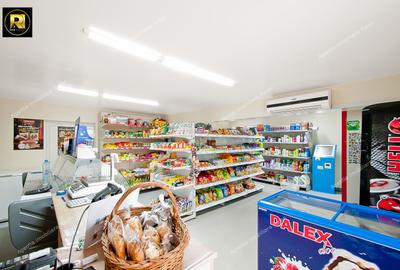 Vanzare Proprietate mixta si Afacere la cheie in Sat Costi, teren 400 mp - 13