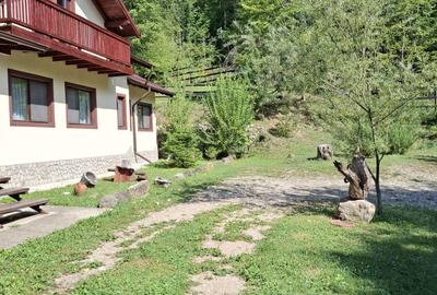 Pensiune agroturistică lângă București | Business funcțional | Iedera de Sus, DB - 21