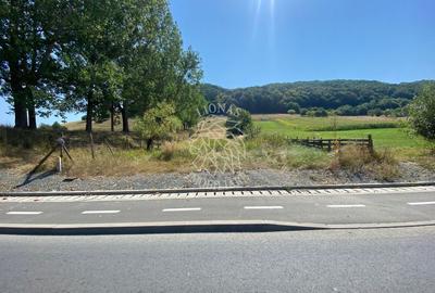 Teren Construcții intravilan de 2600 mp, în Nord