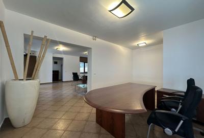 Casă / Vilă de inchiriere în zona Clucerului - 10