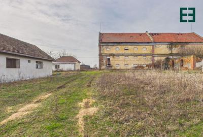 Proprietate industrială + Teren 8.632 - Voiteg - Județul Timiș - 23