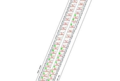 TEREN REZIDENTIAL PENTRU CONSTRUCTIE CASA - 2