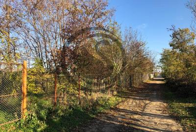 Teren intravilan de vanzare | 12.650 mp | Ghirdoveni, | Comision 0% - 10