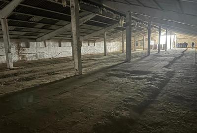 Hale de inchiriat localitatea M. Kogalniceanu Tulcea - 2