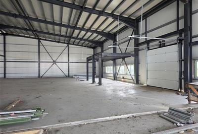 Vanzare depozit/hala/spatiu industrial Otopeni - Centura, Ilfov - 10