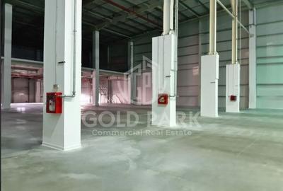Spatiu Industrial - Calea Someseni - Parc Logistic - 3