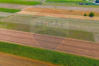 TEREN extravilan- 6 E/MP- CU PLANTATIE DE TRANDAFIRI! Teliu 7000mp - 7