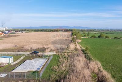 Teren intrare Sanpetru 668mp, str Tudor Arghezi-cu AC imprejmuire - 4
