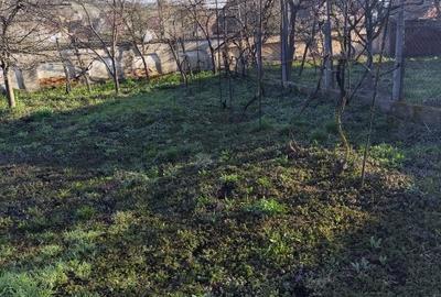 Vand casa Loc. Ohaba, jud. Alba - 6