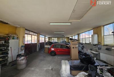 Casa Individuala cu functiune mixta (locuinta + afacere) - Bogdanestilor - 49