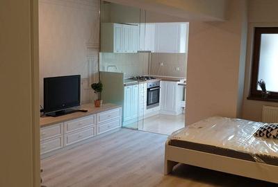 Apartament 1 cameră de închiriat – Complex Privilege, Kaufland, 360 euro - 2