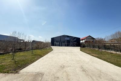Hala depozitare/ productie 250 mp de inchiriat, Tatarani, acces TIR - 7