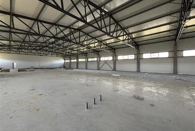 Inchiriere depozit/hala/spatiu industrial Chitila - Oxigenului, ILFOV - 10