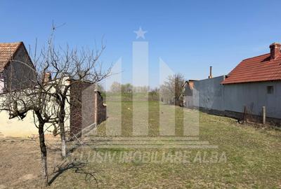 Teren intravilan | 1218 mp | 18.6 ml deschidere | Oarda de Jos - 3