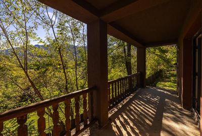 FILM! Proprietate notabila,ocazie personalizare, aprecat areal: Bran, Brasov - 19