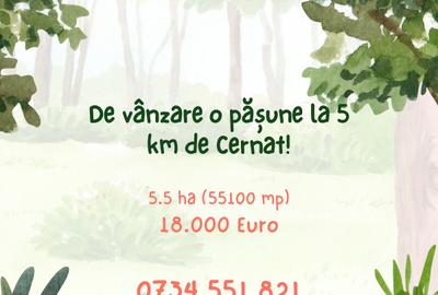 De vânzare o pășune la 5 km de Cernat!