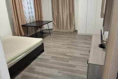 Garsoniera spatioasa Vitan, pet friendly, renovata, AC, mobilata complet - 8