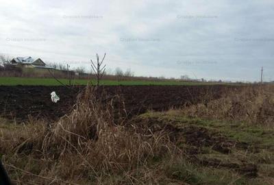 Teren intravilan de 3000 mp, în Chiscani
