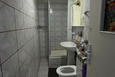Vila P+1 | Stefan cel Mare | Floreasca | Dorobanti | parcare - 21