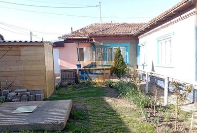 Casă 5 camere, PALAZU MARE,  204 mp cu teren 904 mp - 2