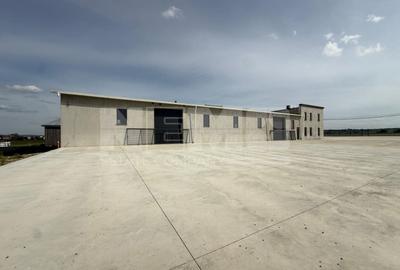 Hala 500 mp|Teren 1,3 ha|Birouri & Apartament| Rădăuți – Badeuti - 1
