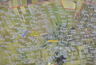 TEREN TECHIRGHIOL 10.000 mp - 8