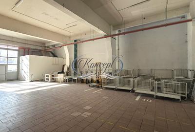 Spatiu industrial cu birouri pe Bulevardul Muncii - 4