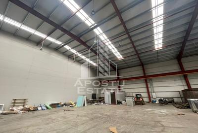 Hala 600 mp constructie noua, de inchiriat,  Sacalaz - 3