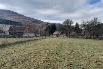 Teren Intravilan Ideal Pt Casa de Vacanta ,Valea Dobarlaului - 7