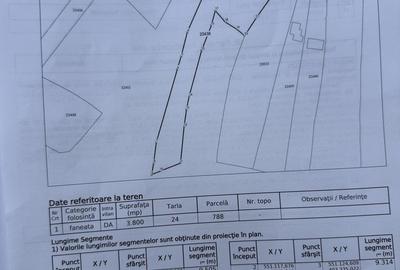 Teren plat-intravilan -3800 mp, cu pădurice și ieșire la râu! - 12
