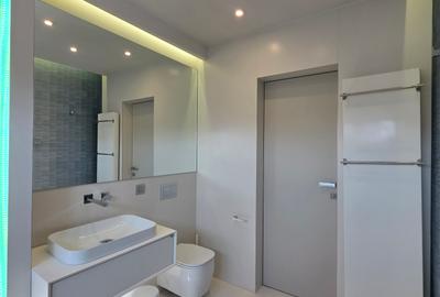 Duplex 4 camere de închiriat – zona Erou Iancu Nicolae - 12