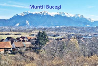 Comision 0%! Teren superb de 17000mp la 5 min de Castelul Bran, 13 euro/mp - 4