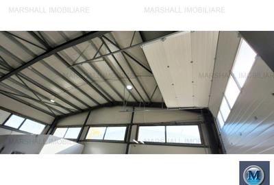 Spatiu industrial de inchiriat, zona Sud, 570 mp #15233 - 5
