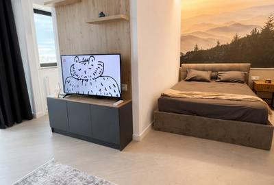 Garsonieră decomandată, mobilată în Central