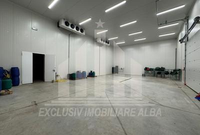 Spatiu industrial frigorific | 1200 mp | 8 m inaltime | 6000 mp teren - 3