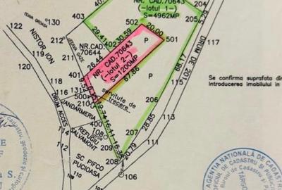 Teren intravilan 1.200 mp – Peștera Padina, lângă Telecabina Peștera - 1