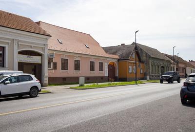 Casă Săsească Autentică cu Șură Impresionantă în Cristian – Teren 2729mp - 3