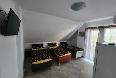 De inchiriat casa pentru muncitori in Sanandrei, la doar 5 km de Timisoara. - 6
