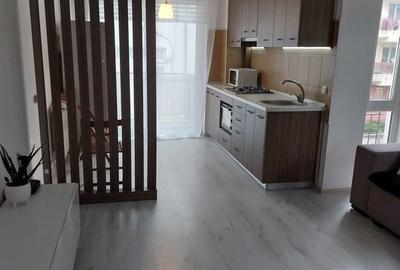 Garsoniera semidecomandata Drumul Taberei Valea Oltului/Valea Largă - 9