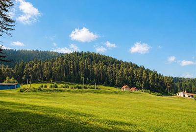 Incantator parc privat, 1.500mp: casa/ pensiune/ refugiu montan, Sacele, Brasov - 2