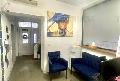 Vila de închiriat cu 7 camere ultracentral Piata Victoriei - 16